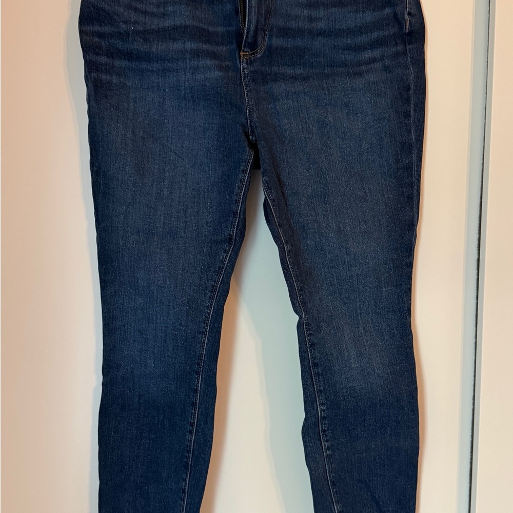 LOFT Blue Skinny Jeans with Classic Indigo Wash